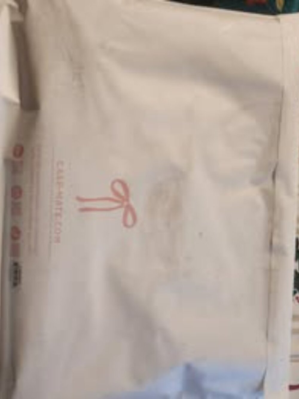 NEW!! Case Mate Jelly Tote Bag - Ballet Pink (7k Wait List) - Picture 4 of 4